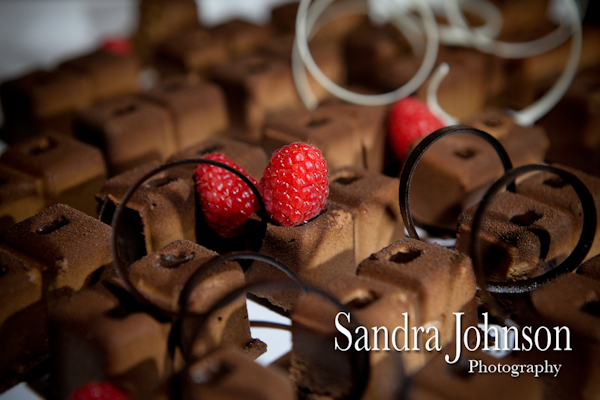 Best Gaylord Palms Wedding photographer - Sandra Johnson (SJFoto.com)